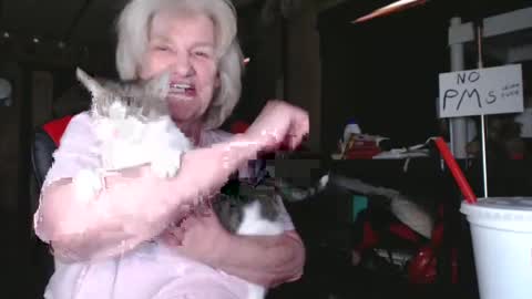 cat online show from 02-05-25, 06:26