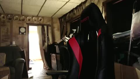 cat online show from 10-24-25, 04:25