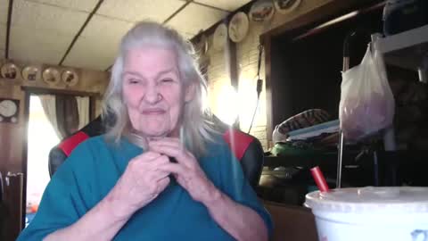 cat online show from 10-29-25, 05:36