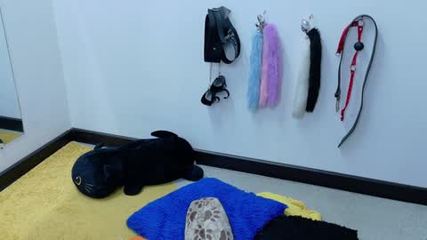 Snapshot of cat_white chatting on 01-21-25, 06:02 Cata online show from 01-21-25, 06:02