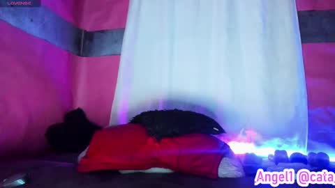 Snapshot of cata_angel1 chatting on 02-13-25, 11:26 Cata Angel online show from 02-13-25, 11:26