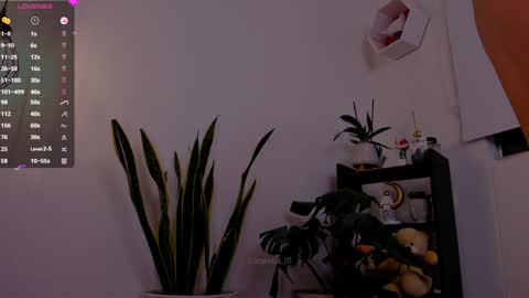 Snapshot of catalella_01 chatting on 01-06-25, 11:52 MACARENA online show from 01-06-25, 11:52