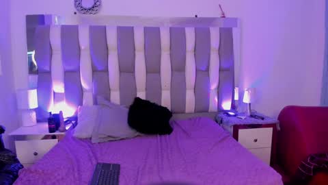 Cat  online show from 12-07-24, 05:09