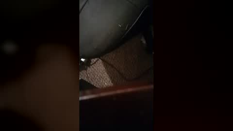 catdaddy179057 online show from 05-01-26, 10:42