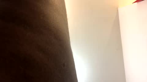 catpixel online show from 09-17-25, 10:28