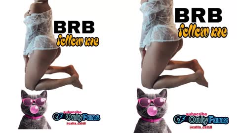 catta cat18 online show from 02-23-25, 11:04