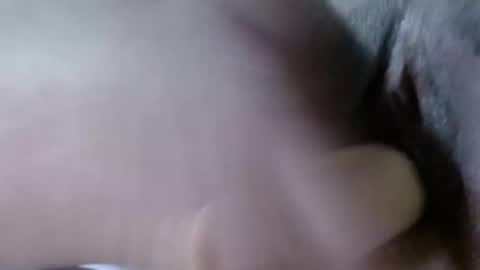 Snapshot of cattleya1618 chatting on 12-21-24, 08:18 cattleya online show from 12-21-24, 08:18