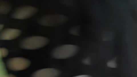 Snapshot of cattleyascaly chatting on 09-25-25, 07:39 cattleyascaly online show from 09-25-25, 07:39