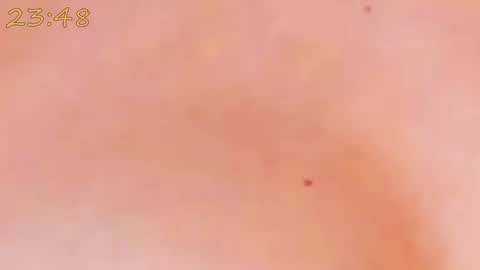 Snapshot of catty_foxx chatting on 01-25-25, 06:24 online show from 01-25-25, 06:24