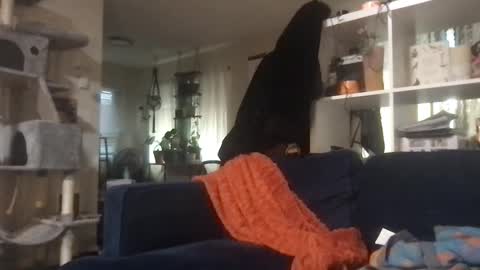 Snapshot of cattypants chatting on 09-11-25, 02:11 cattypants online show from 09-11-25, 02:11