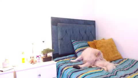 Snapshot of cedrixx10 chatting on 12-16-25, 09:31 Cedrixx10 online show from 12-16-25, 09:31