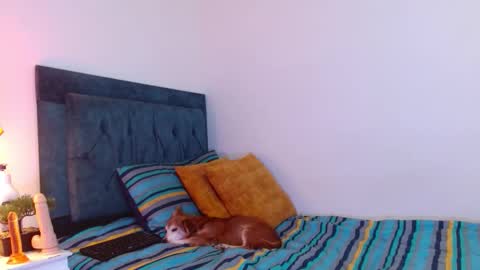 Snapshot of cedrixx10 chatting on 12-19-25, 09:55 Cedrixx10 online show from 12-19-25, 09:55