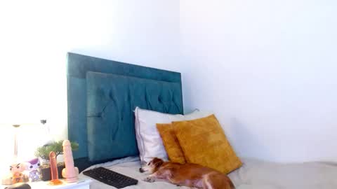 Snapshot of cedrixx10 chatting on 02-11-26, 08:58 Cedrixx10 online show from 02-11-26, 08:58