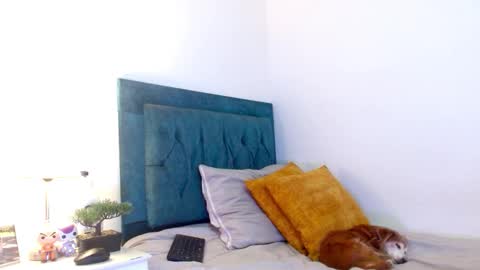 Snapshot of cedrixx10 chatting on 02-25-26, 10:19 Cedrixx10 online show from 02-25-26, 10:19