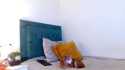 Snapshot of cedrixx10 chatting on 02-28-26, 10:00 Cedrixx10 online show from 02-28-26, 10:00