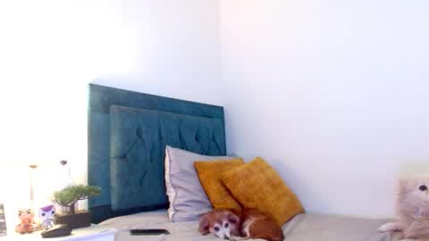 Snapshot of cedrixx10 chatting on 03-14-26, 11:10 Cedrixx10 online show from 03-14-26, 11:10