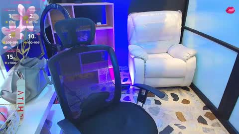 Snapshot of celesstebruce chatting on 01-22-25, 08:38 meli online show from 01-22-25, 08:38