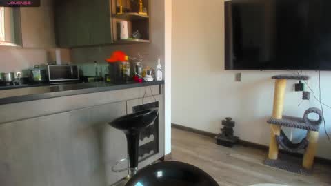 Snapshot of celeste_pervert chatting on 01-15-25, 06:51 mia sofiabohorquez INSTAGRAM online show from 01-15-25, 06:51