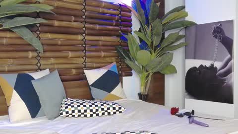 CelesteBailey online show from 01-26-25, 06:38