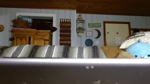 Snapshot of cguffey2284 chatting on 12-29-24, 07:00 cguffey2284 online show from 12-29-24, 07:00