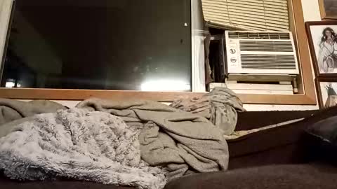 Chad420247 online show from 02-04-26, 03:23