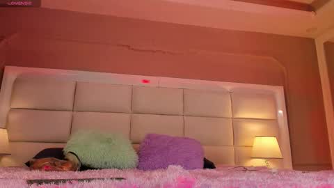    online show from 11-12-25, 11:32