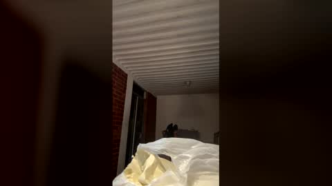    online show from 01-18-26, 01:31