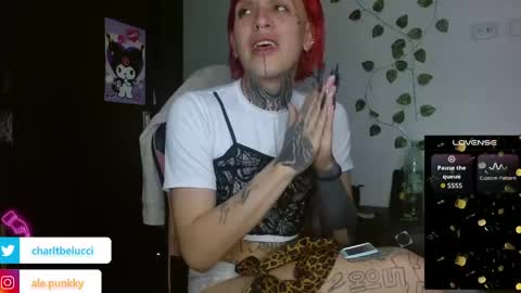 Ale punky online show from 04-27-26, 10:13