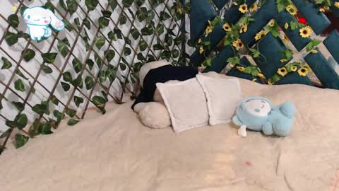 Snapshot of charly_evans60 chatting on 02-19-25, 12:14 charly_evans60 online show from 02-19-25, 12:14