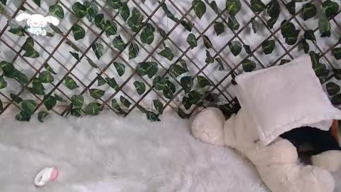 Snapshot of charly_evans60 chatting on 02-22-25, 04:51 charly_evans60 online show from 02-22-25, 04:51