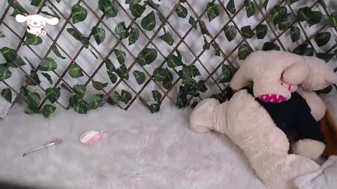 Snapshot of charly_evans60 chatting on 02-24-25, 09:52 charly_evans60 online show from 02-24-25, 09:52