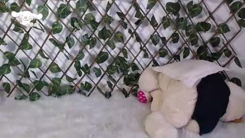 Snapshot of charly_evans60 chatting on 02-25-25, 09:57 charly_evans60 online show from 02-25-25, 09:57