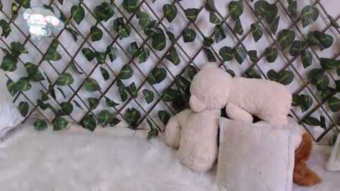 Snapshot of charly_evans60 chatting on 02-27-25, 10:09 charly_evans60 online show from 02-27-25, 10:09