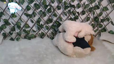 Snapshot of charly_evans60 chatting on 03-02-25, 11:09 charly_evans60 online show from 03-02-25, 11:09