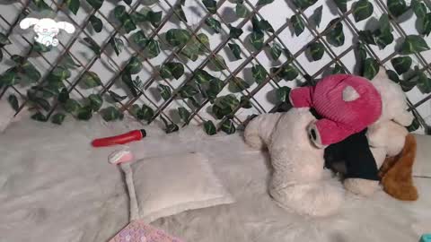 Snapshot of charly_evans60 chatting on 03-05-25, 02:46 charly_evans60 online show from 03-05-25, 02:46