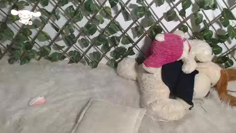 Snapshot of charly_evans60 chatting on 03-09-25, 04:49 charly_evans60 online show from 03-09-25, 04:49