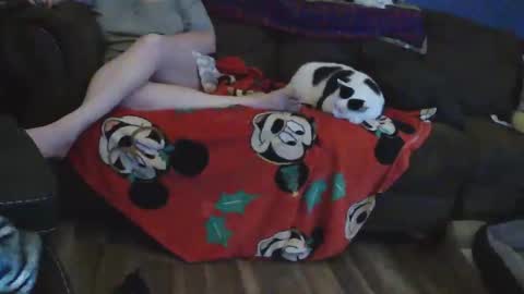 cheekers073163937 online show from 06-11-26, 01:16