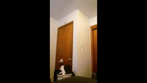 cheeze111 online show from 06-07-26, 04:16