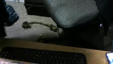 Snapshot of chefy999 chatting on 11-10-25, 10:14 chefy online show from 11-10-25, 10:14