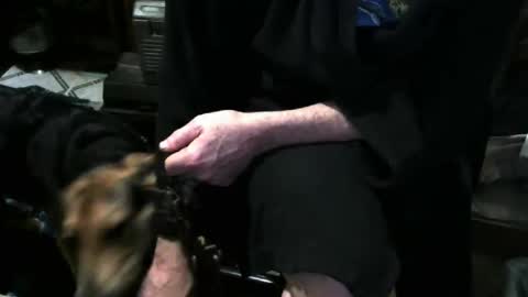 Snapshot of chefy999 chatting on 12-03-25, 11:41 chefy online show from 12-03-25, 11:41