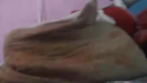 Cheila online show from 04-20-26, 02:42