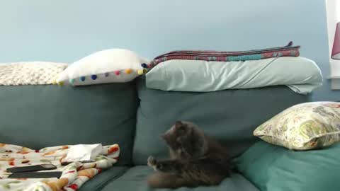 Snapshot of chelseasentra1 chatting on 01-28-25, 05:46 Chelsea online show from 01-28-25, 05:46