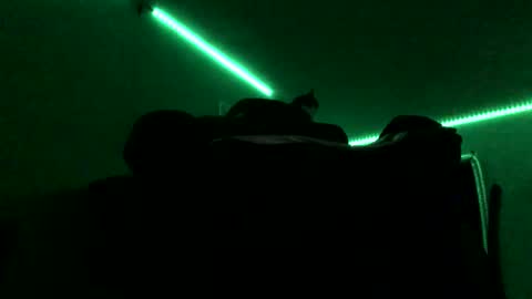 chenovich online show from 11-16-25, 09:04