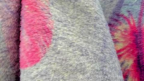 Mia online show from 10-06-25, 09:40