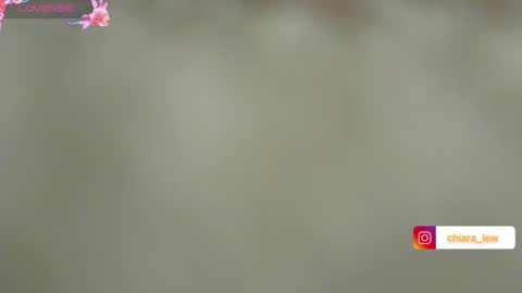 Snapshot of chiaretta99 chatting on 12-12-24, 05:48 Chiara Lovense is active Pvt open online show from 12-12-24, 05:48