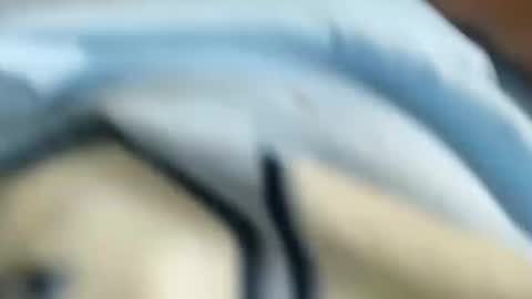 domenic online show from 01-31-25, 03:00