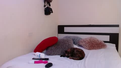  Valentina  online show from 01-04-25, 01:52