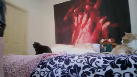 Snapshot of chinacove chatting on 02-16-26, 12:40 ChinaCove online show from 02-16-26, 12:40