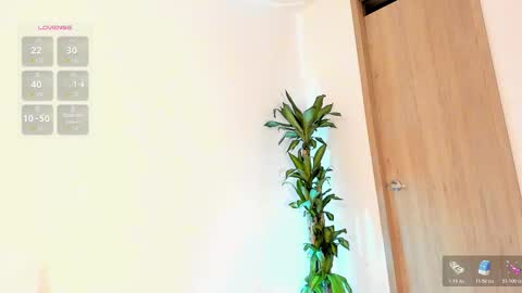    Schedule 7am to 2pm Col online show from 02-11-26, 11:59