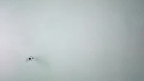 chispahot69 online show from 11-26-25, 07:53